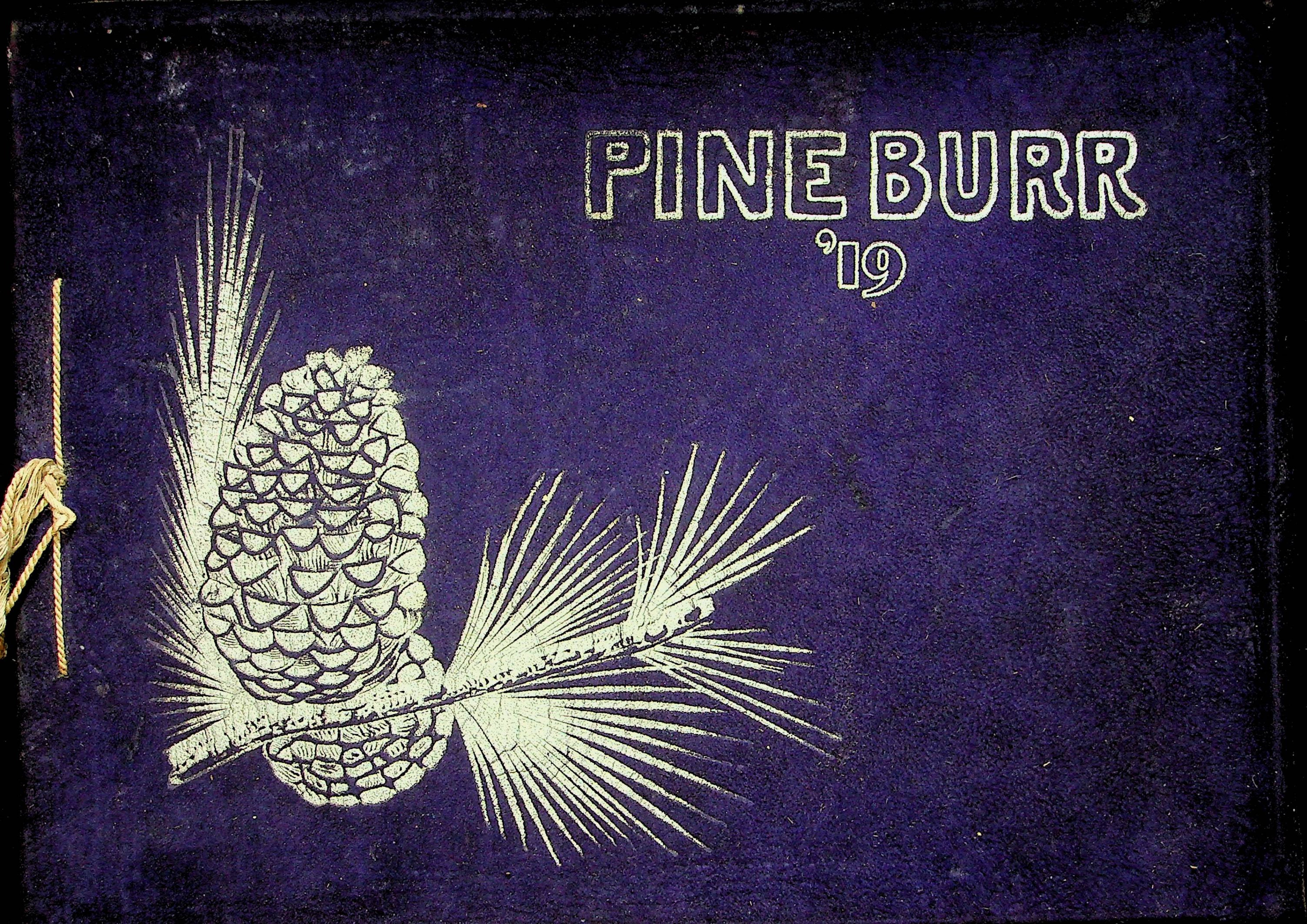 1919 Beaumont High School Yearbook in Beaumont, Texas * The Pine Burr Yearbook Yearbook 1919 Beaumont High School Yearbook in Beaumont, Texas * The Pine Burr Yearbook Yearbook