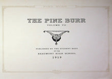 Load image into Gallery viewer, 1919 Beaumont High School Yearbook the Pine Burr TX
