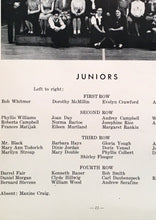 Load image into Gallery viewer, Juiors Class Photo in the 1948 Fairview Township and Karns City High School Yearbook, Butler County, PA
